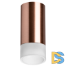 Накладной светильник Lightstar Rullo R43031 (214430+202431)