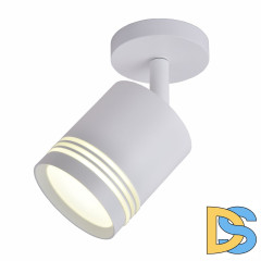 Спот Favourite Darar 3065-1U