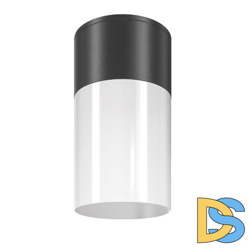 Уличный потолочный светильник Maytoni Willis O418CL-01B