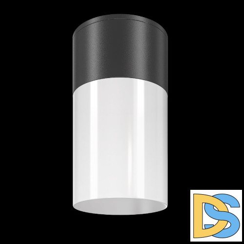 Уличный потолочный светильник Maytoni Willis O418CL-01B