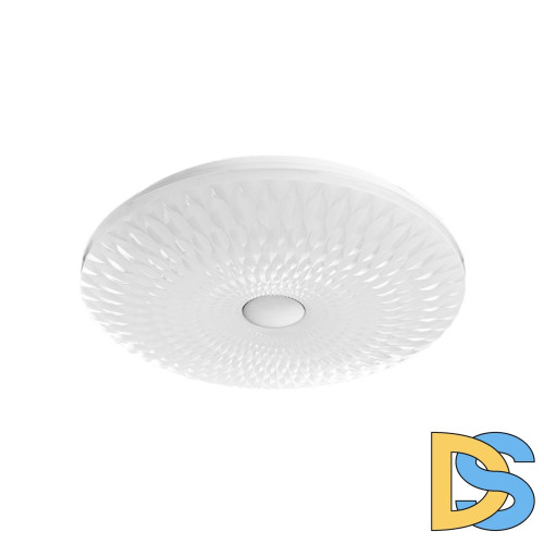 Потолочный светодиодный светильник Arte Lamp A2460PL-1WH