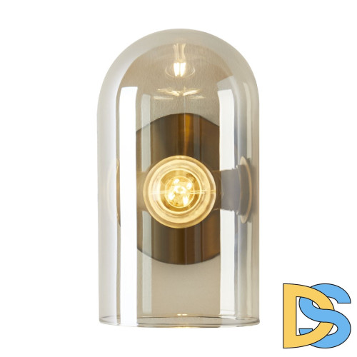 Бра Freya Firefly FR5427WL-01BS