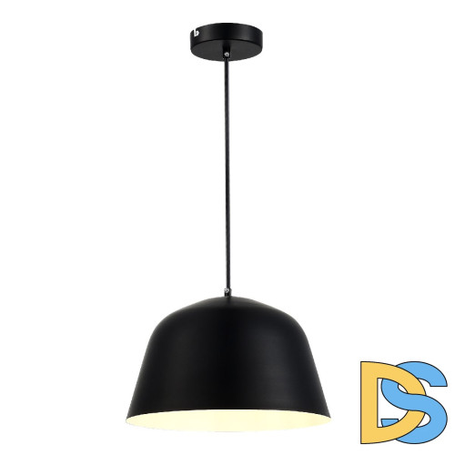 Подвесной светильник Evoluce Blank SLE1805-403-01