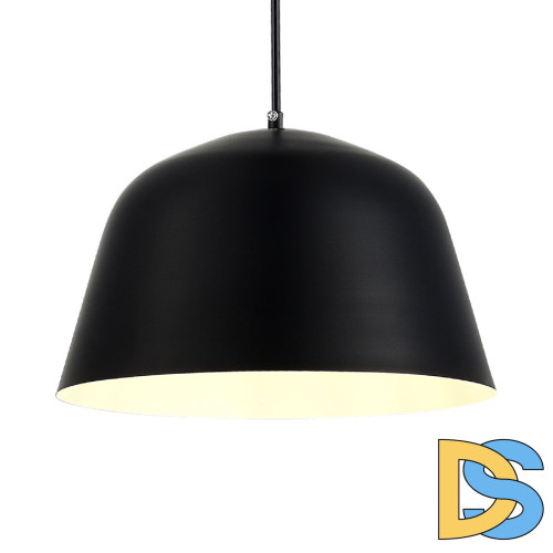 Подвесной светильник Evoluce Blank SLE1805-403-01