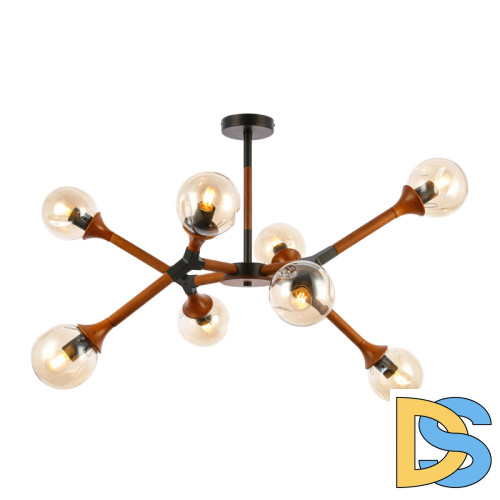 Потолочный светильник EVOLUCE RAQUEL SLE109402-08