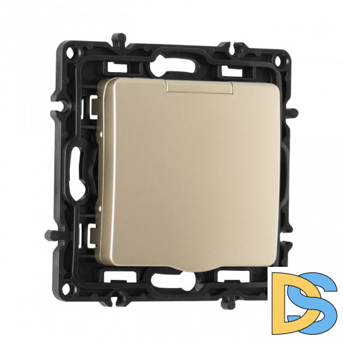 Розетка с заземлением, шторками и защитной крышкой Arte Milano 217.41-1.shampan