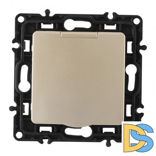 Розетка с заземлением, шторками и защитной крышкой Arte Milano 217.41-1.shampan