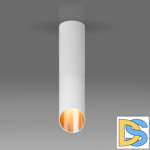 Точечный светильник Elektrostandard DLN115 GU10 белый/золото a050121