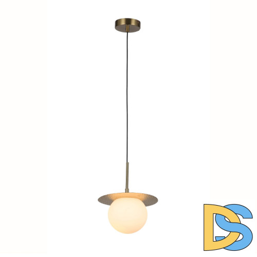 Подвесной светильник F-Promo Roshni 3050-1P