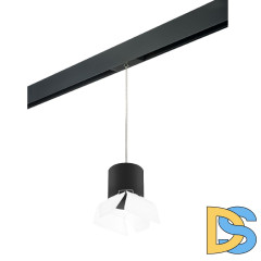 Трековый однофазный светильник Lightstar Rullo (213487+595887+202486) PRORP3487486