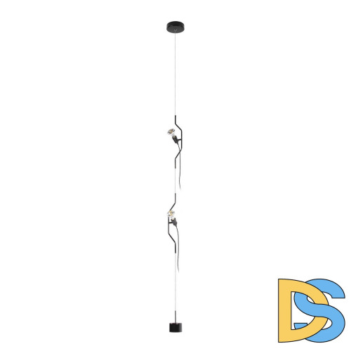 Подвесной светильник Loft IT Parentesi 10346/2 Black