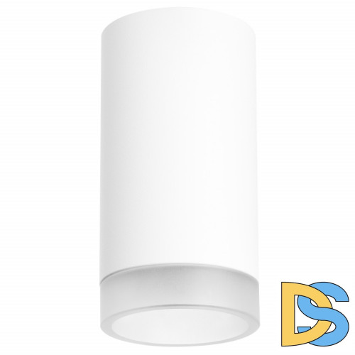 Потолочный светильник Lightstar RULLO R43630 (214436+202430)