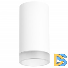 Потолочный светильник Lightstar RULLO R43630 (214436+202430)