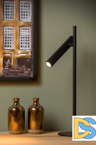 Настольная лампа Lucide Philon 79581/05/30