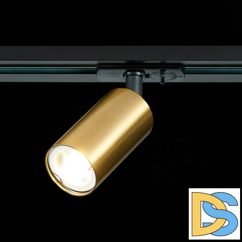 Трековый светильник ST Luce ST300 ST300.206.01