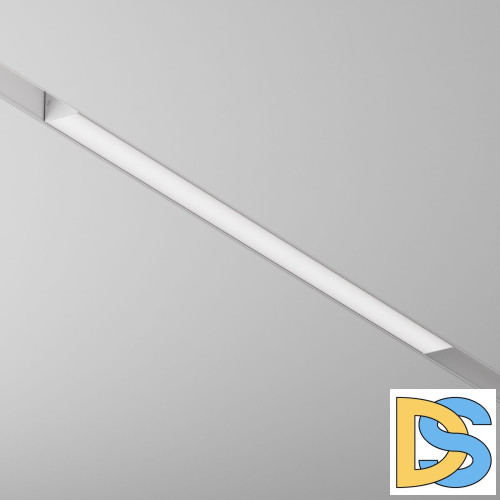 Трековый светильник Maytoni Technical BASIS TR012-2-20W4K-W