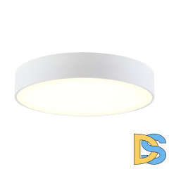 Накладной светодиодный светильник Citilux Тао CL712240N