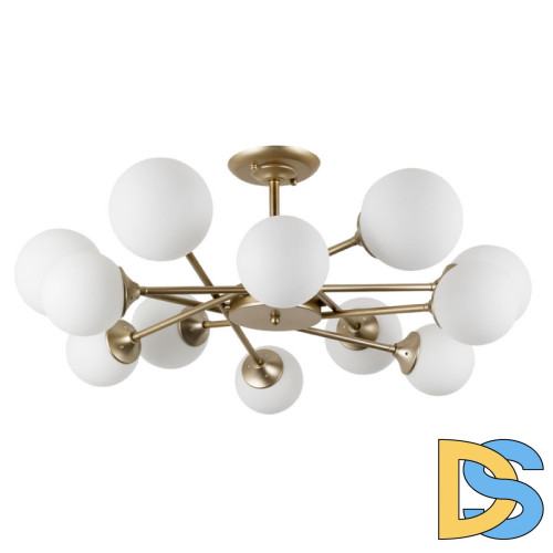 Люстра на штанге ARTE Lamp A2703PL-12SG