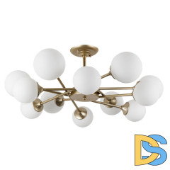 Люстра на штанге ARTE Lamp A2703PL-12SG