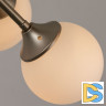 Люстра на штанге ARTE Lamp A2703PL-12SG