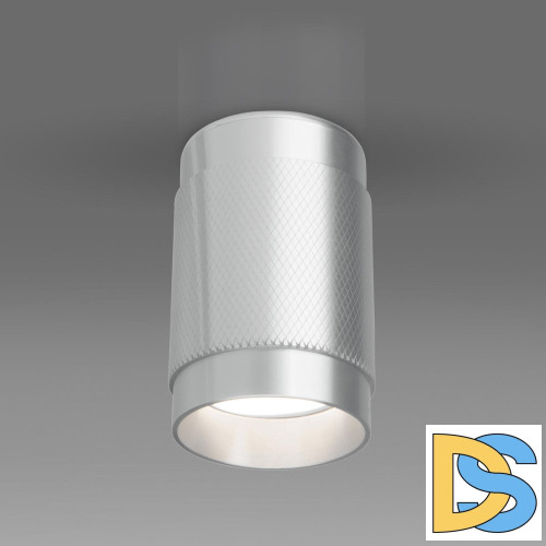 Точечный светильник Elektrostandard DLN109 GU10 серебро a047742