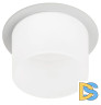 Встраиваемый светильник Эра DK106 WH Б0058426