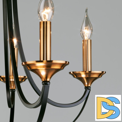 Подвесная люстра Eurosvet 60098/5 черный