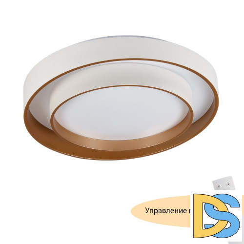 Потолочный светильник Myfar Rhea MR9161-CL