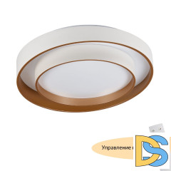 Потолочный светильник Myfar Rhea MR9161-CL