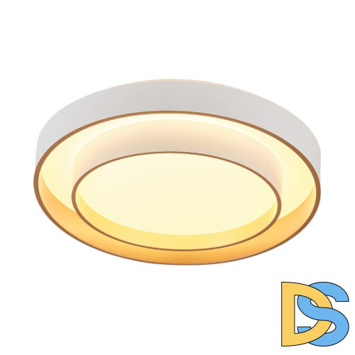 Потолочный светильник Myfar Rhea MR9161-CL