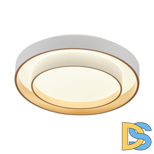 Потолочный светильник Myfar Rhea MR9161-CL