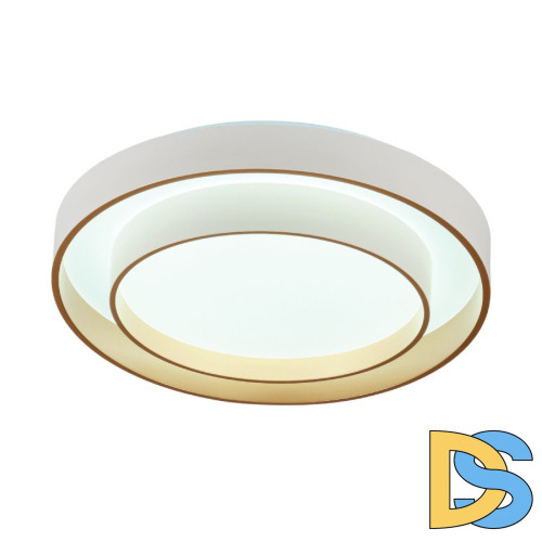 Потолочный светильник Myfar Rhea MR9161-CL