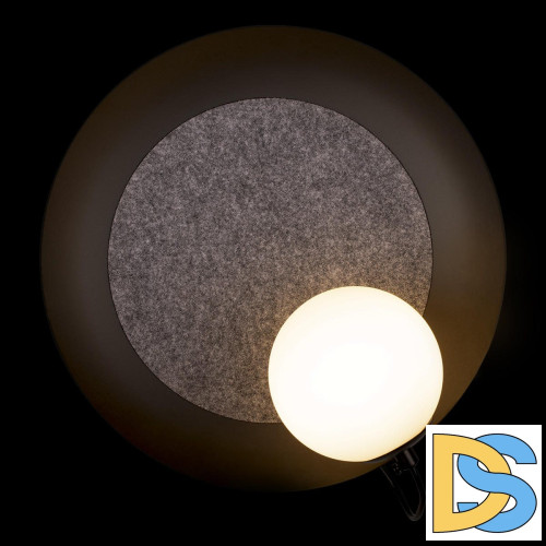 Настенный светильник Loft IT Wonders 10237W Black