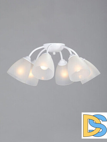 Накладная люстра Vitaluce V3737-0/6PL