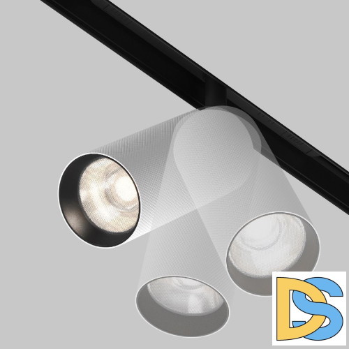 Трековый магнитный светильник Maytoni Artisan TR097-2-12W4K-M-BW