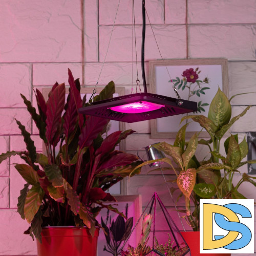 Тросовый подвес Эра FITO-Cabel-rope  Б0063889