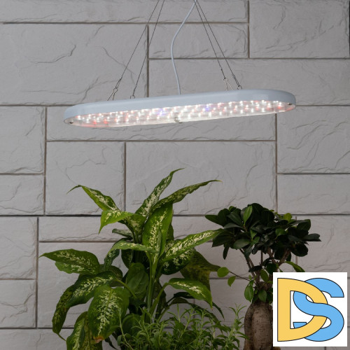 Тросовый подвес Эра FITO-Cabel-rope  Б0063889