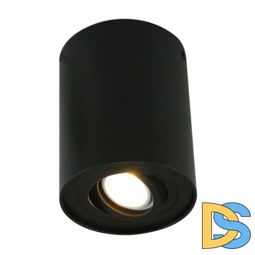 Потолочный светильник Arte Lamp A5644PL-1BK