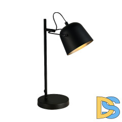 Настольная лампа Evoluce Blank SLE1805-404-01