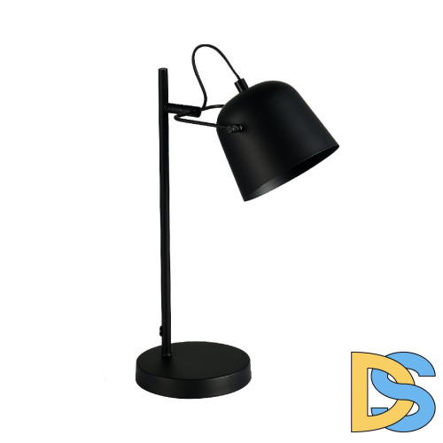 Настольная лампа Evoluce Blank SLE1805-404-01