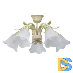 Потолочная люстра Vitaluce V1451/5PL