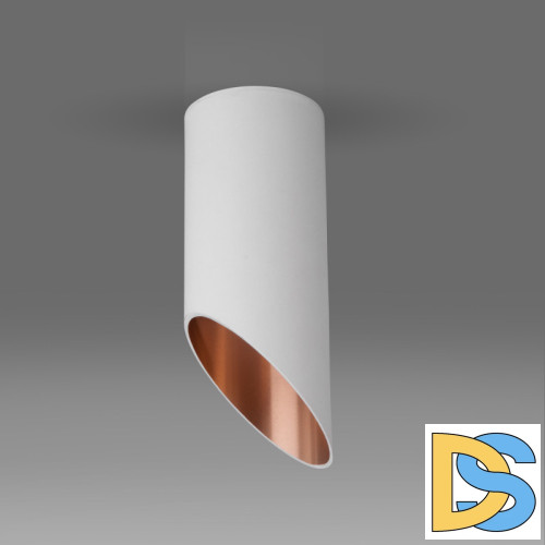 Точечный светильник Elektrostandard DLN114 GU10 белый/золото a050119