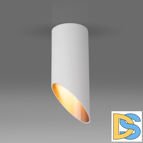 Точечный светильник Elektrostandard DLN114 GU10 белый/золото a050119