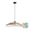Подвесной светильник Arte Lamp Woodstock A7061SP-1BK
