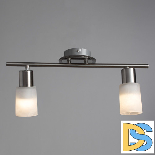 Спот Arte Lamp A4510PL-2SS