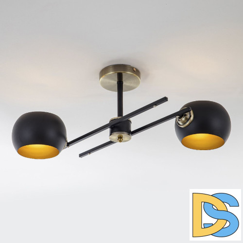 Потолочный светильник Modemodern MD.5171.2