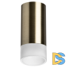 Накладной светильник Lightstar Rullo R43131 (214431+202431)