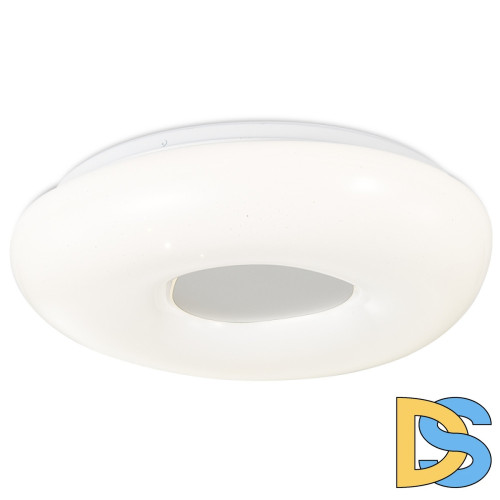 Потолочный светильник Simple Story 1203-LED24CL