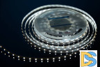 Светодиодная лента DesignLed DSG360-12-W-33 000524