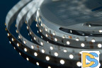 Светодиодная лента DesignLed DSG360-12-W-33 000524